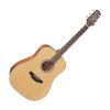 Đàn guitar Takamine GD20 NS