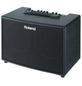 Loa Roland AC-90