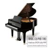 Đàn Piano Kawai GL-20 