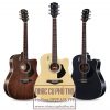 Guitar Rosen G11