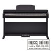 Đàn Piano điện Roland RP-30
