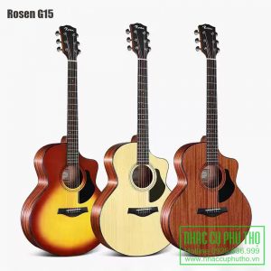 guitar rosen g15
